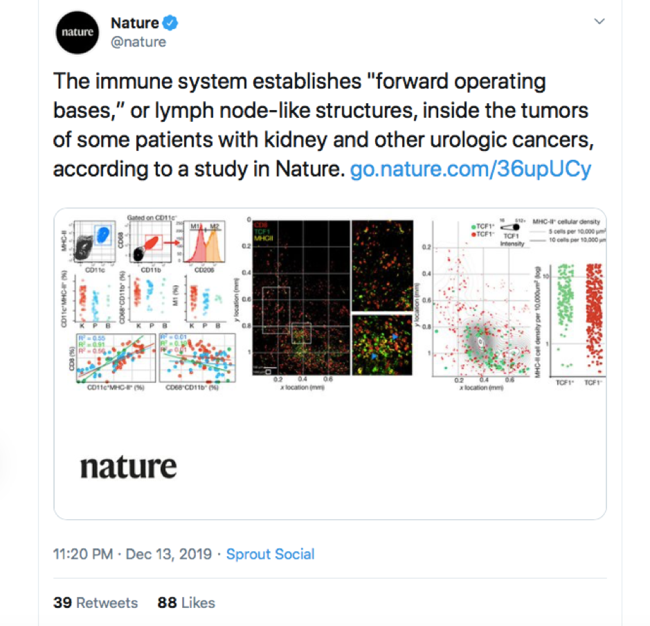 Example impact article from @nature on Twitter 